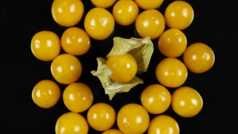 Rotating On A Black Background Berry Physalis. Stock Footage 170324104
