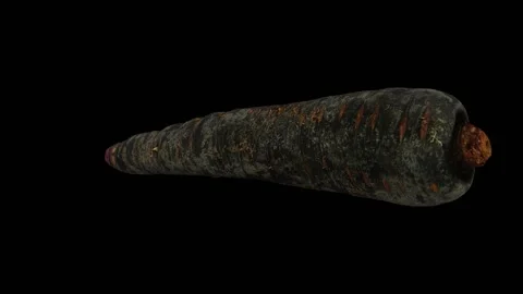 Rotating Black Carrot on Black Background (Looping) Stock Footage 147527136