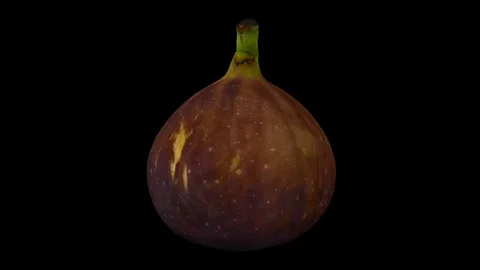 Rotating Black Fig on Black Background (Looping) Stock Footage 97735971