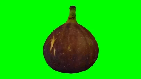 Rotating Black Fig on Green Background (Looping) Stock Footage 97736041