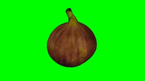 Rotating Black Fig on Green Background (Looping) Stock Footage 97736634