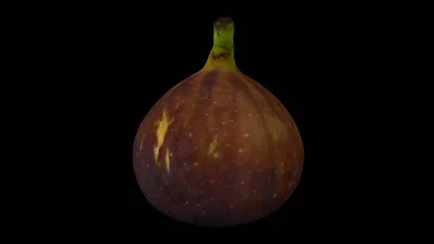 Rotating Black Fig on Transparent Background (Looping with Alpha Channel) Stock Footage 97735897