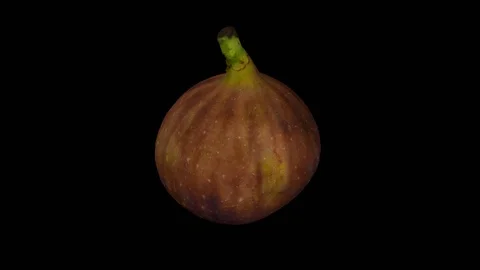 Rotating Black Fig on Transparent Background (Looping with Alpha Channel) Stock Footage 97736540