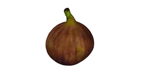 Rotating Black Fig on White Background (Looping) Stock Footage 97736672