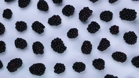 Rotating blackberry berries on white background top view Stock Footage 222571329