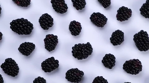 Rotating blackberry berries on white background top view Stock Footage 254067330