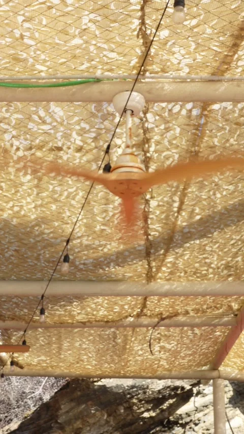 Rotating blade fan in khaki ceiling Stock Footage 283865902