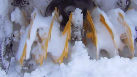 Rotating blades of working snowblower on a winter day Stock Footage 124356911