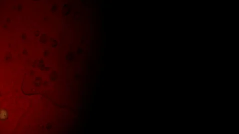 Rotating blood Stock Footage 96515193