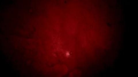 Rotating blood Stock Footage 96516601