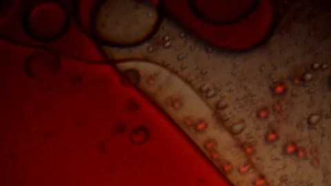Rotating blood Stock Footage 96519051