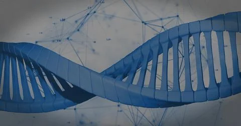 Rotating blue DNA double helix floating in data lab, with network nodes and Stock Illustration