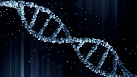 Rotating blue DNA molecule model, loopab... | Stock Video | Pond5