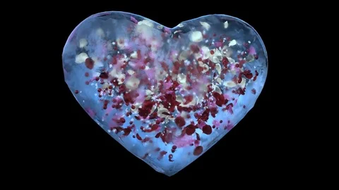 Rotating Blue Ice Glass Heart with snowflakes, colorful petals Alpha Matte Loop Video stock 82215829
