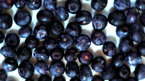 Rotating Blueberries Stock Footage 286272940