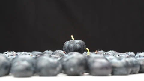 Rotating Blueberries Macro with Shallow Depth of Field Focus on One 4K Stock Footage 320662391