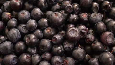 Rotating Blueberry Ordinary. Stock Footage 90918982