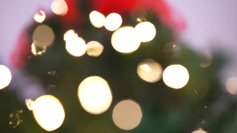 Rotating blurred sparkling light bokeh, blinking garland ornament on spruce tree Stock Footage 253099259