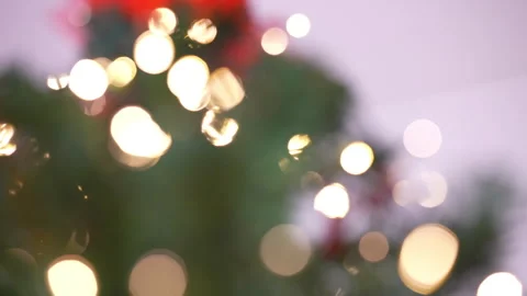Rotating blurred sparkling light bokeh, blinking garland ornament on spruce tree Stock Footage 255376499