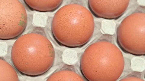 Rotating box of whole raw eggs Stock Footage 141150410