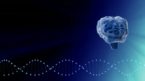 Rotating brain and DNA string Stock Footage 570345