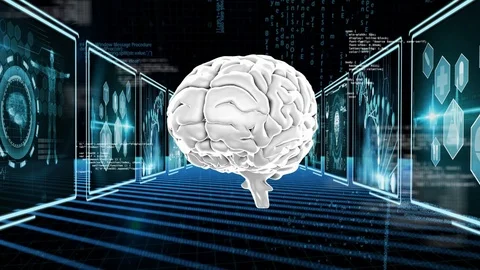 Rotating brain Stock Footage 106257238