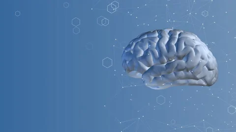 Rotating Brain Stock Footage 166915983