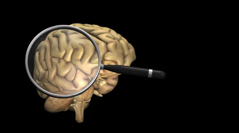 Rotating Brain with Magnifier And Alpha Stock Footage 22958078