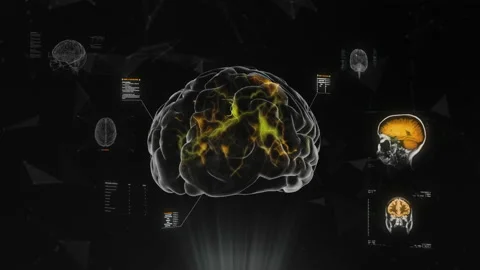 Rotating Brain with Several Animations Appearing. Medical Interface, MRI, Neuron Stock Footage 160502011
