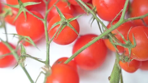Rotating branch of cherry tomatoes on white background Stock Footage 140463895
