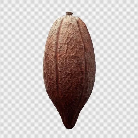 Rotating Brown Cocoa Shell with Alpha Channel for Seamless Compositing Stock Footage 290199664