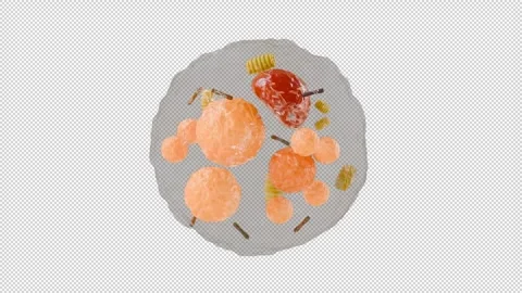 Rotating brown fat cell animation on a transparent background Stock Footage 313113102