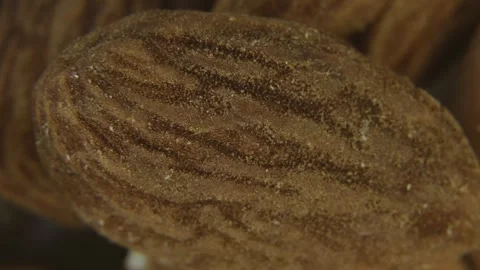 Rotating Brown Sugar Texture Macro Food Background. Vídeo Stock 334575062