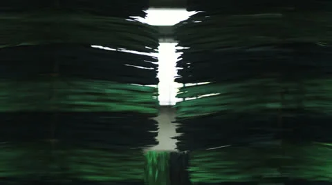 Rotating brushes Видео 22706872