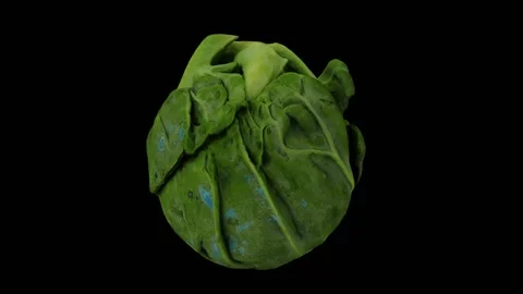 Rotating Brussels Sprout on Black Background (Looping) Stock Footage 148071510