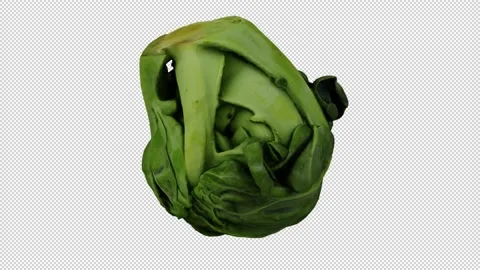 Rotating Brussels Sprout on Transparent Background (Looping with Alpha Channel) Stock Footage 148071954