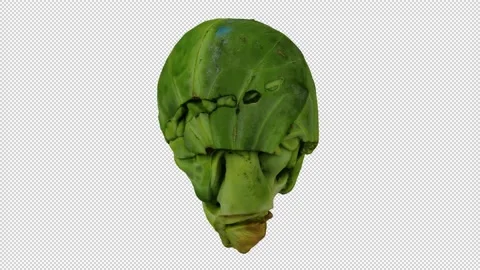 Rotating Brussels Sprout on Transparent Background (Looping with Alpha Channel) Stock Footage 148072325