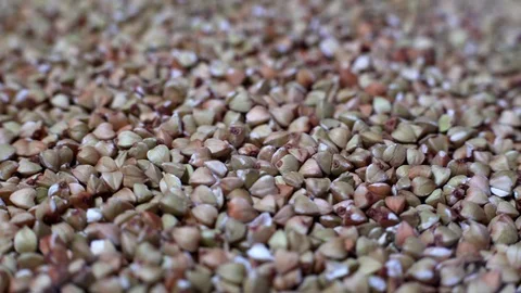 Rotating Buckwheat Stock Footage 102490968