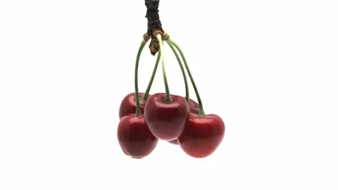 Rotating bunch of cherries on white background Stock Footage 199949816