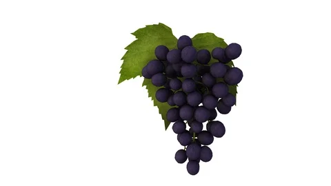 Rotating bunch grapes with leaf - white background Stock Footage 85586149