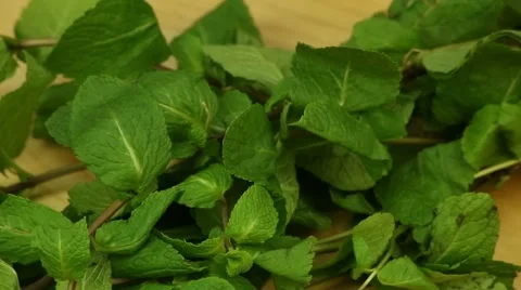 Rotating bunch of mint Stock Footage 45740251
