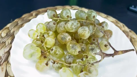Rotating bunch of vibrant green grapes on a decorative plate Stock Footage 286434070