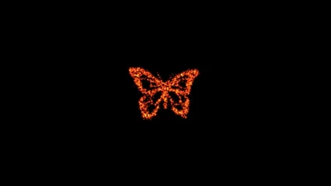 Rotating Butterfly Particle Animation Stock Footage 336651443