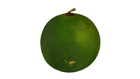 Rotating Calamansi White Background (Looping) Stockbeeldmateriaal 146675828