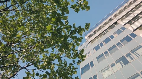 Rotating camera movement in front of modern office building windows reflecting Stock Footage 122212303