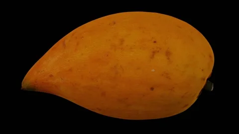 Rotating Canistel on Black Background (Looping) Video stock 149446417