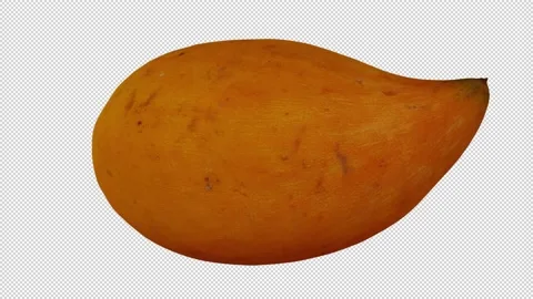 Rotating Canistel on Transparent Background (Looping with Alpha Channel) Stock Footage 149445142