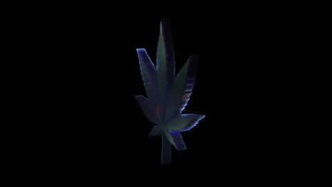 Rotating cannabis leaf on black background Stock Footage 314729878