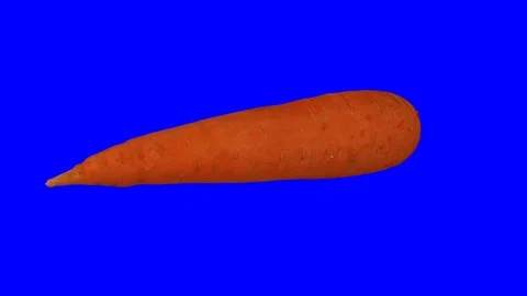Rotating Carrot on Blue Background (Looping) Stock Footage 98412089