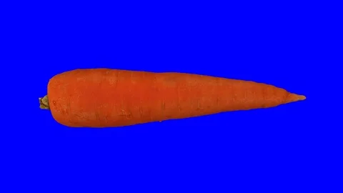 Rotating Carrot on Blue Background (Looping) Stock Footage 98431312